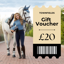 Townfields Gift Voucher - 20 Pound - Send by Email